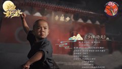 国内外武术文化交流访问